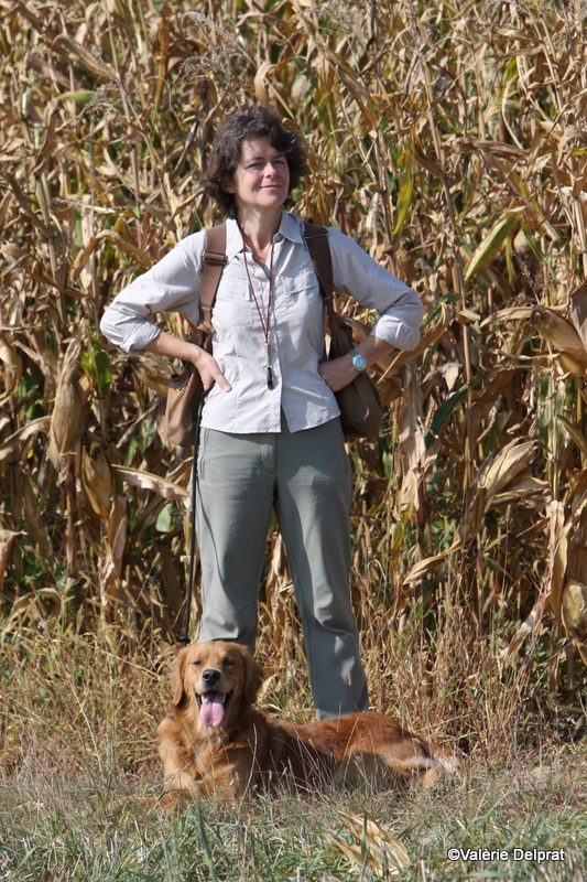 Field Erstein 09 (55).JPG